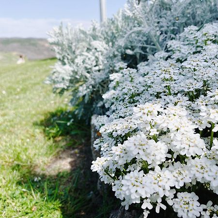 פיינצה Poggiosalto In Toscana מראה חיצוני תמונה