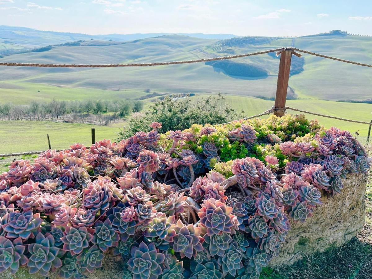 פיינצה Poggiosalto In Toscana מראה חיצוני תמונה