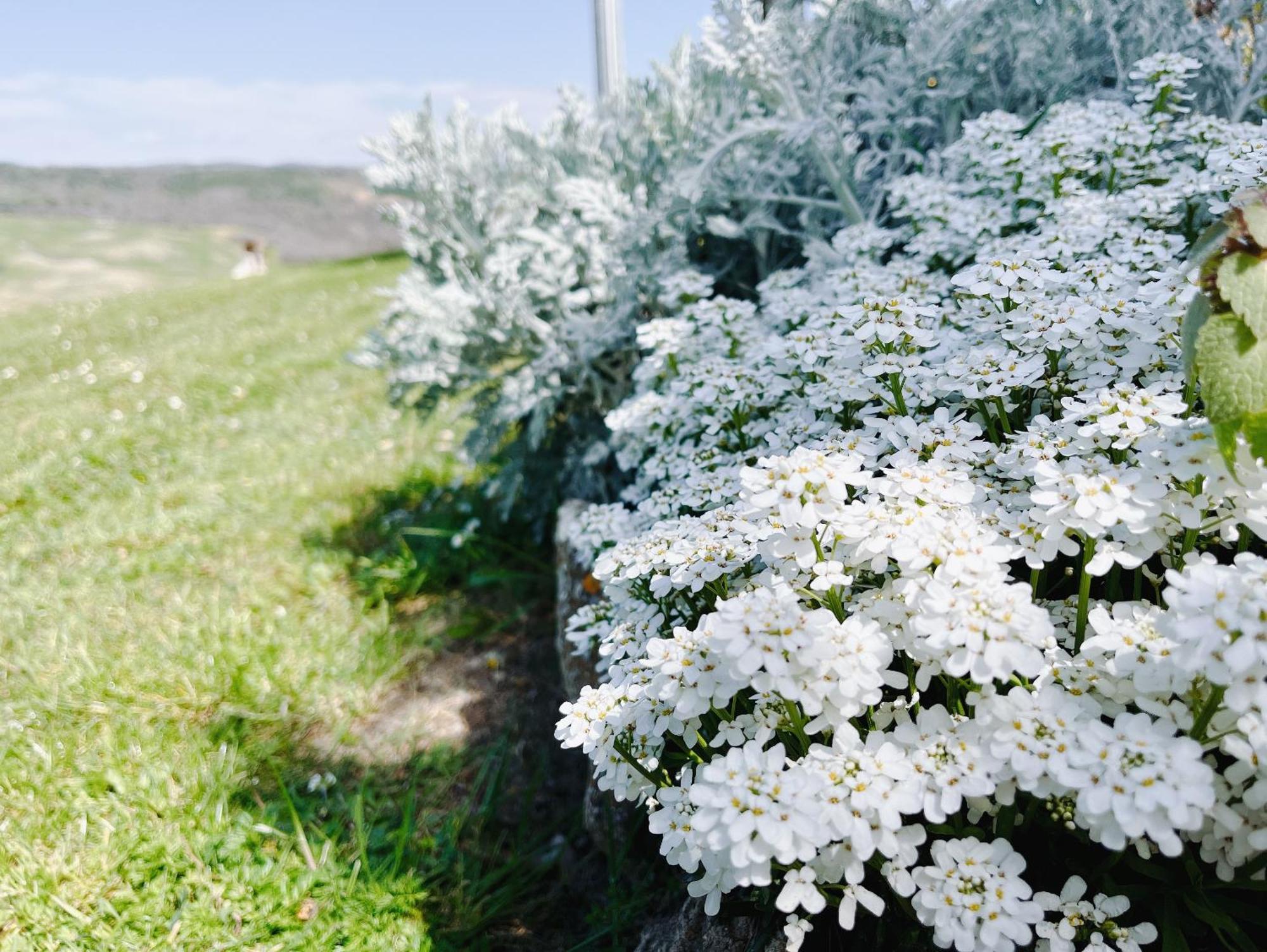 פיינצה Poggiosalto In Toscana מראה חיצוני תמונה