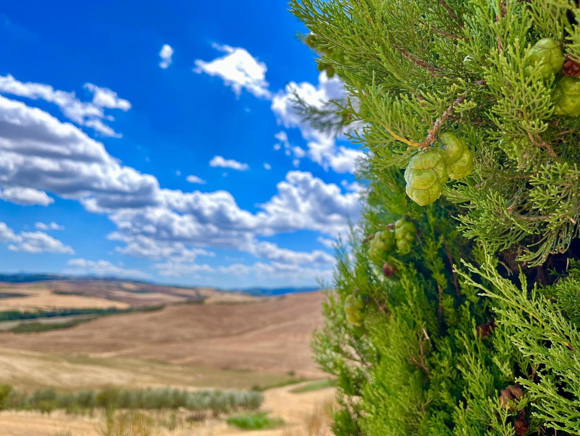 פיינצה Poggiosalto In Toscana מראה חיצוני תמונה